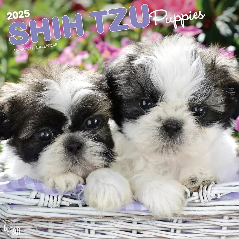 BrownTrout 2025 Calendars<2025 Shih Tzu Puppies 12" x 24" Monthly Square Wall Calendar, (9781975477752)