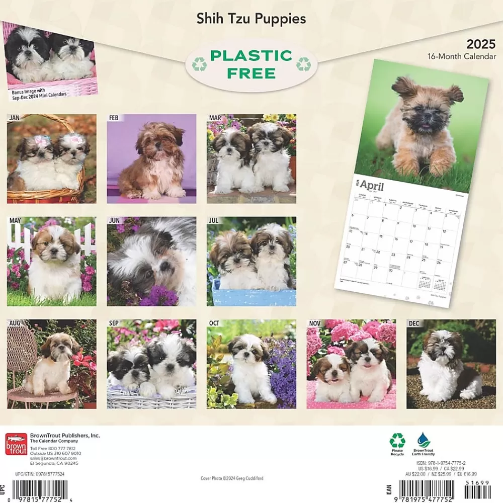 BrownTrout 2025 Calendars<2025 Shih Tzu Puppies 12" x 24" Monthly Square Wall Calendar, (9781975477752)