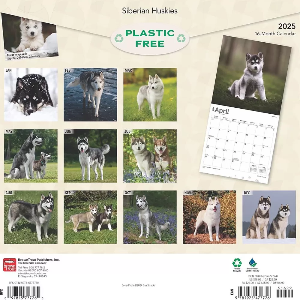 BrownTrout 2025 Calendars<2025 Siberian Huskies 12" x 24" Monthly Square Wall Calendar (9781975477776)