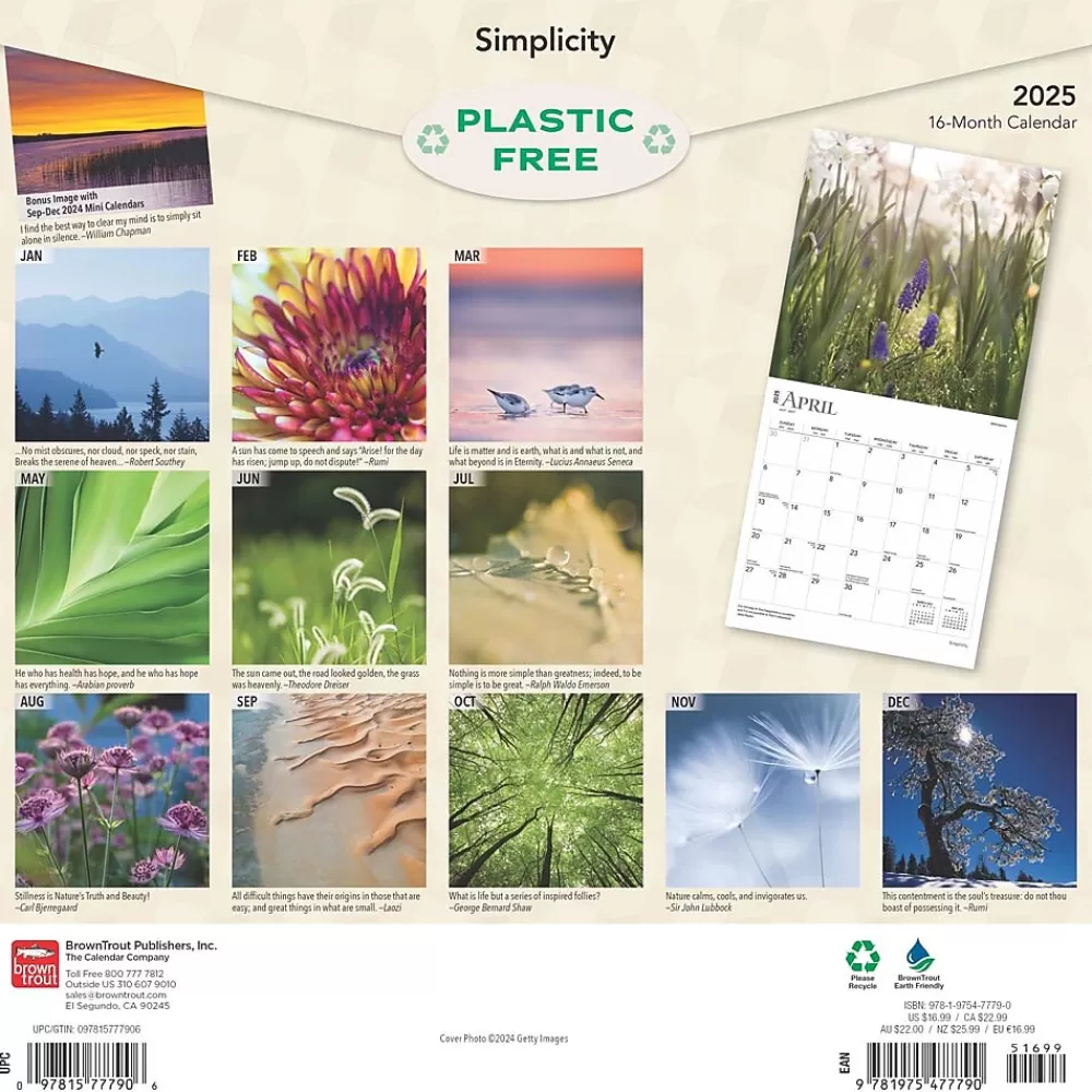 BrownTrout 2025 Calendars<2025 Simplicity 12" x 24" Monthly Square Wall Calendar, (9781975477790)