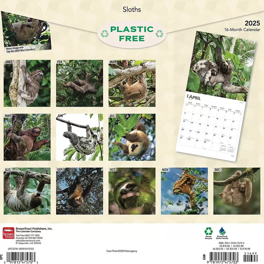 BrownTrout 2025 Calendars<2025 Sloths 12" x 12" Monthly Square Wall Calendar (9781975475703)