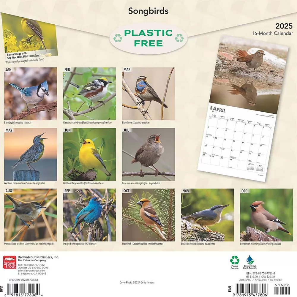 BrownTrout 2025 Calendars<2025 Songbirds 12" x 12" Monthly Square Wall Calendar (9781975477806)