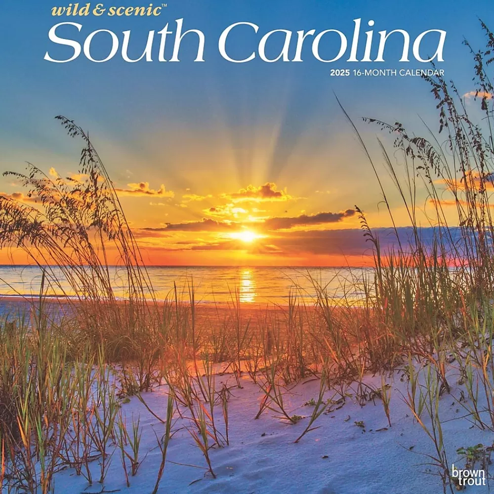 BrownTrout 2025 Calendars<2025 South Carolina Wild & Scenic 12" x 12" Monthly Square Wall Calendar (9781975475710)