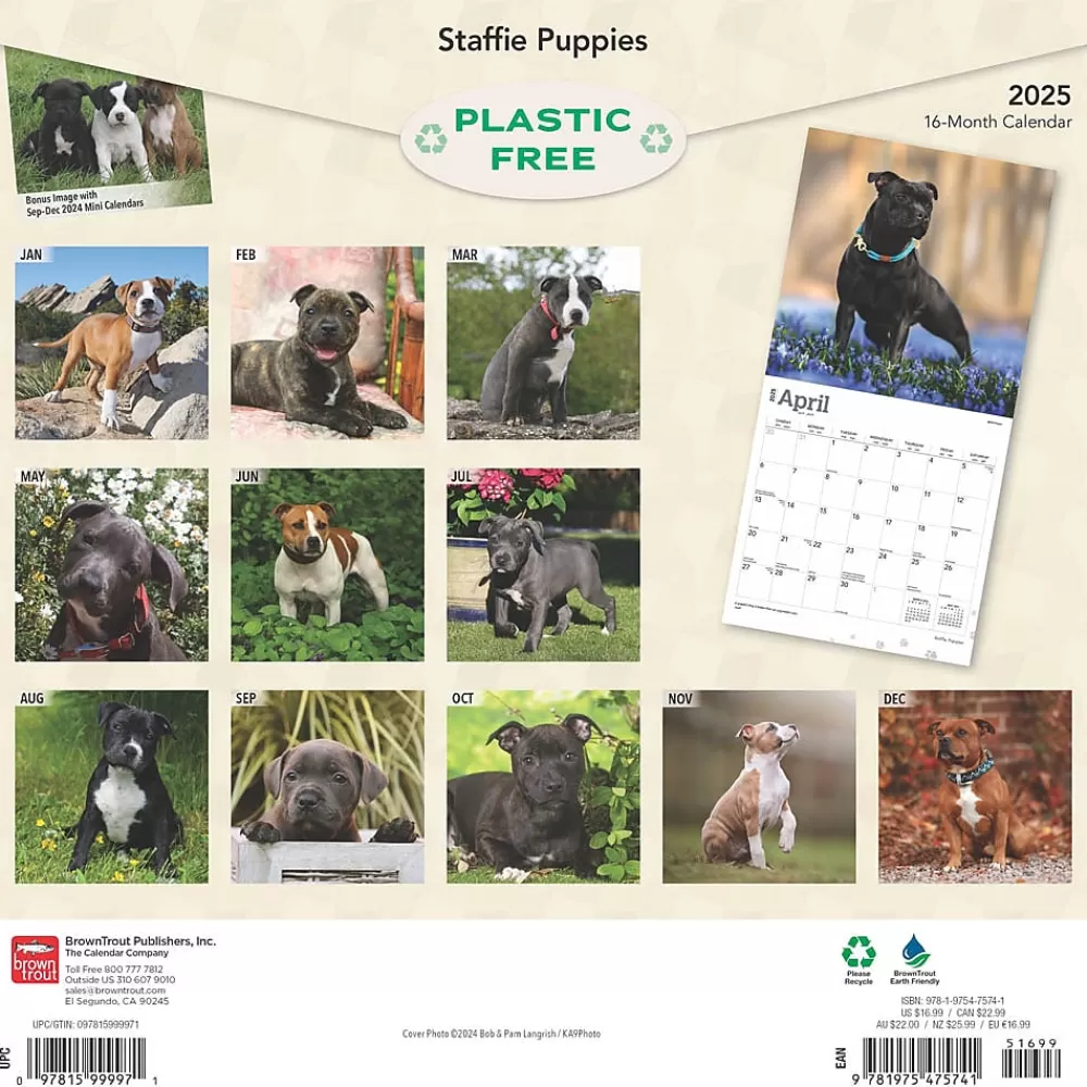 BrownTrout 2025 Calendars<2025 Staffordshire Bull Terriers Puppies 12" x 12" Monthly Square Wall Calendar (9781975475741)