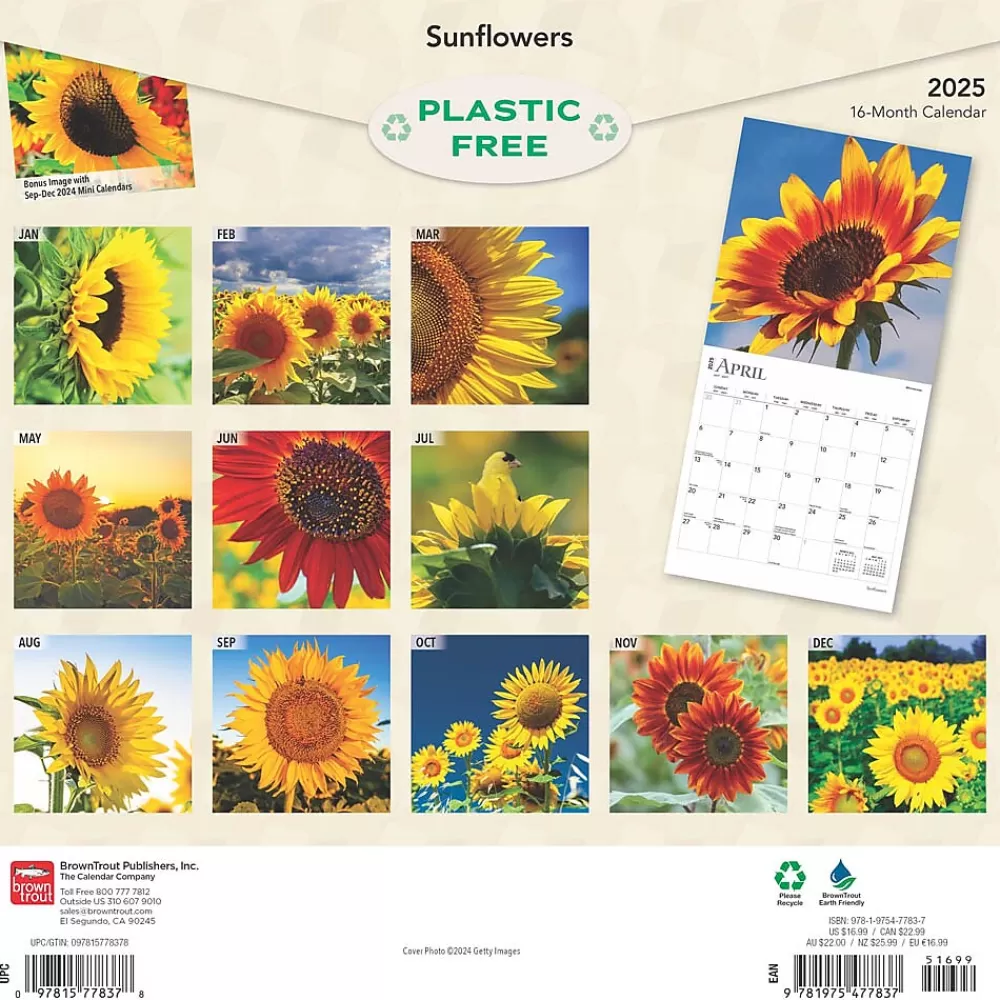 BrownTrout 2025 Calendars<2025 Sunflowers 12" x 12" Monthly Square Wall Calendar (9781975477837)