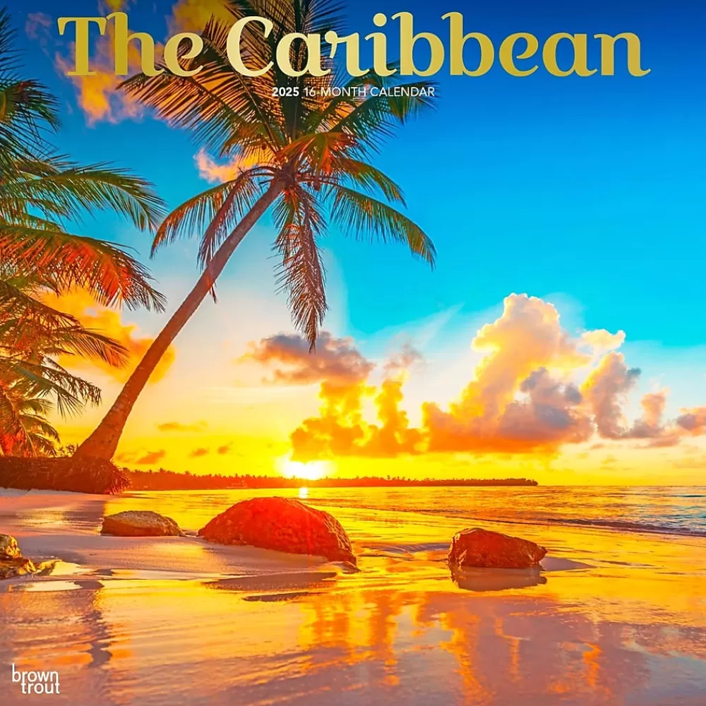 BrownTrout 2025 Calendars<2025 The Caribbean 12" x 12" Monthly Wall Calendar (9781975474584)