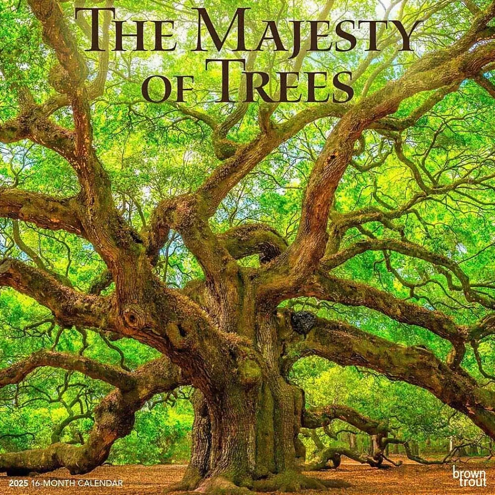 BrownTrout 2025 Calendars<2025 The Majesty of Trees 12" x 12" Monthly Square Wall Calendar (9781975477394)