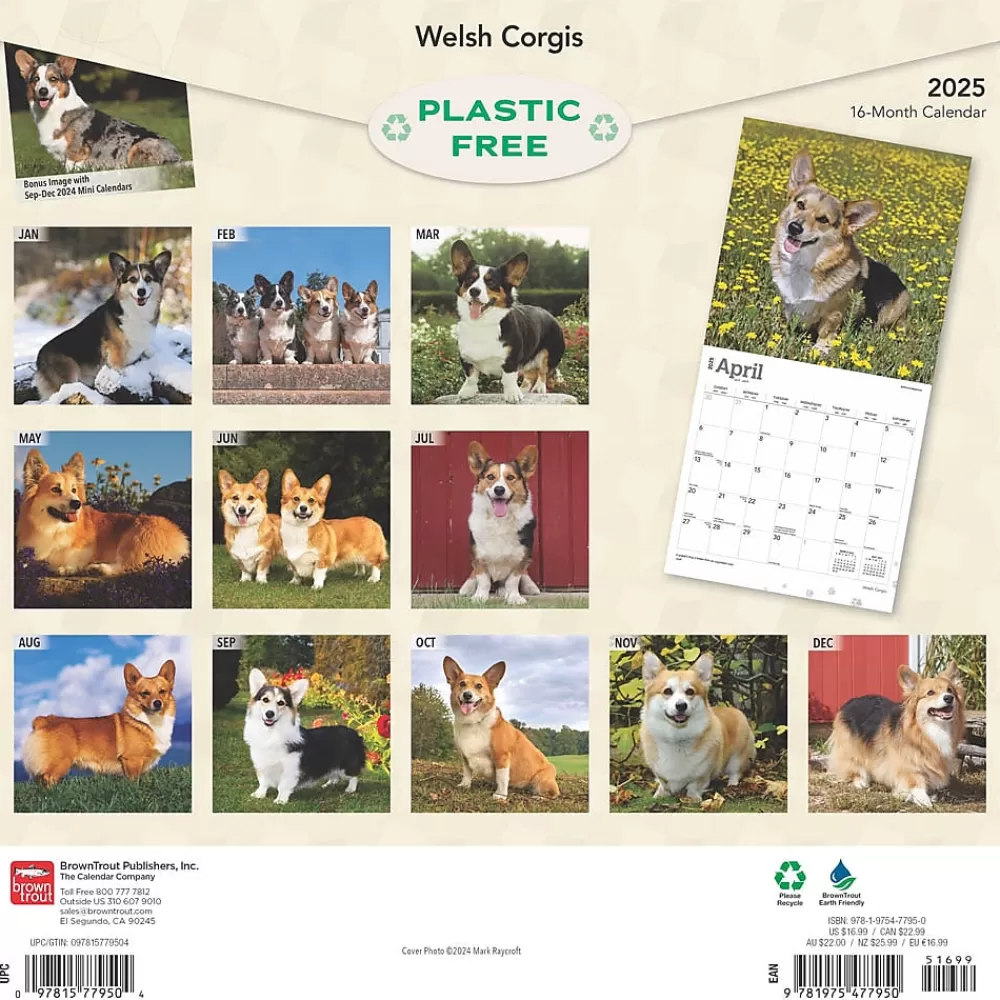 BrownTrout 2025 Calendars<2025 Welsh Corgis 12" x 12" Monthly Wall Calendar (9781975477950)