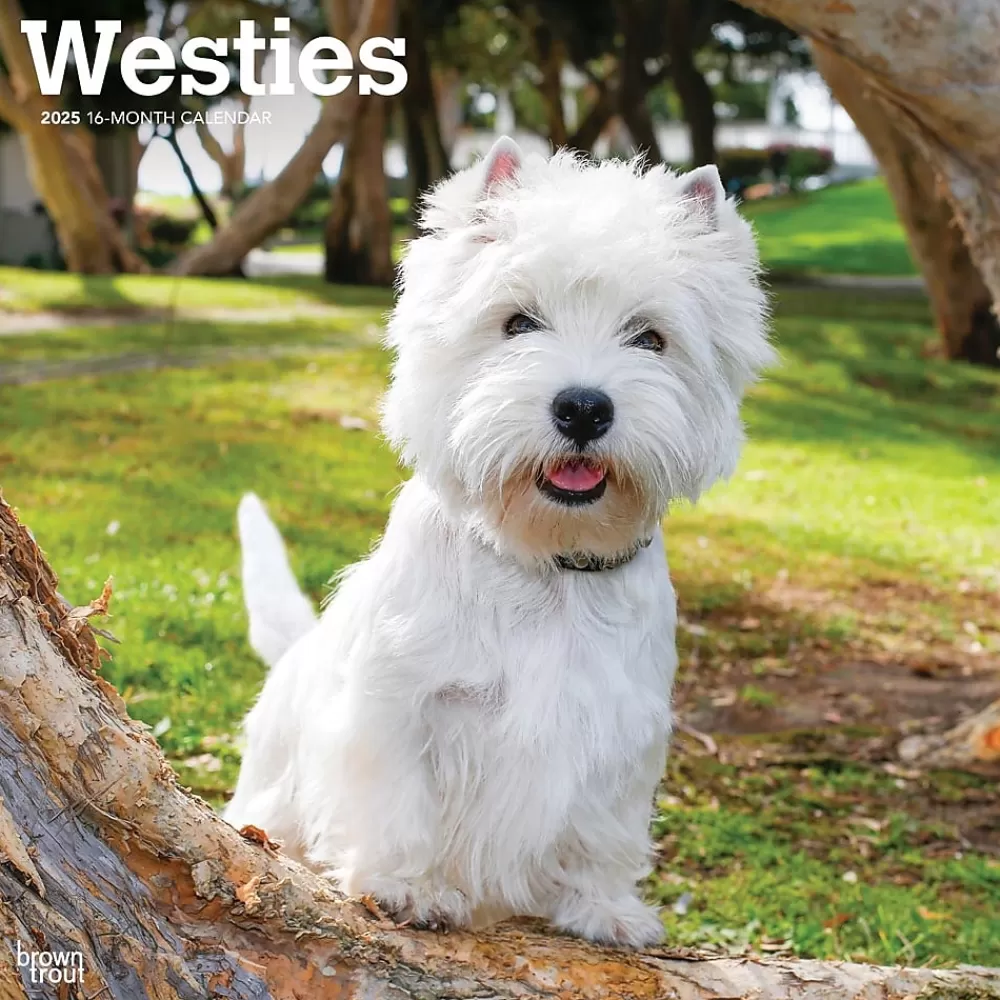 BrownTrout 2025 Calendars<2025 West Highland White Terriers 12" x 12" Monthly Wall Calendar (9781975477974)