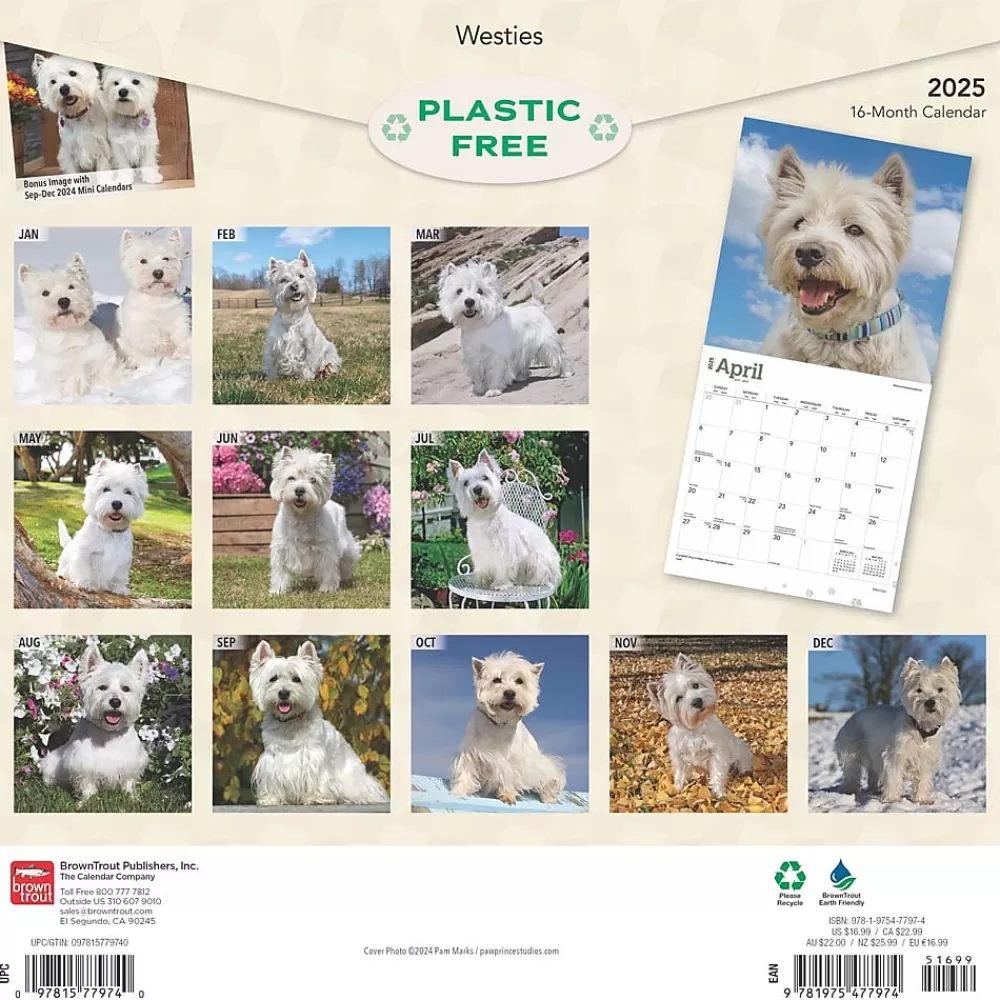 BrownTrout 2025 Calendars<2025 West Highland White Terriers 12" x 12" Monthly Wall Calendar (9781975477974)