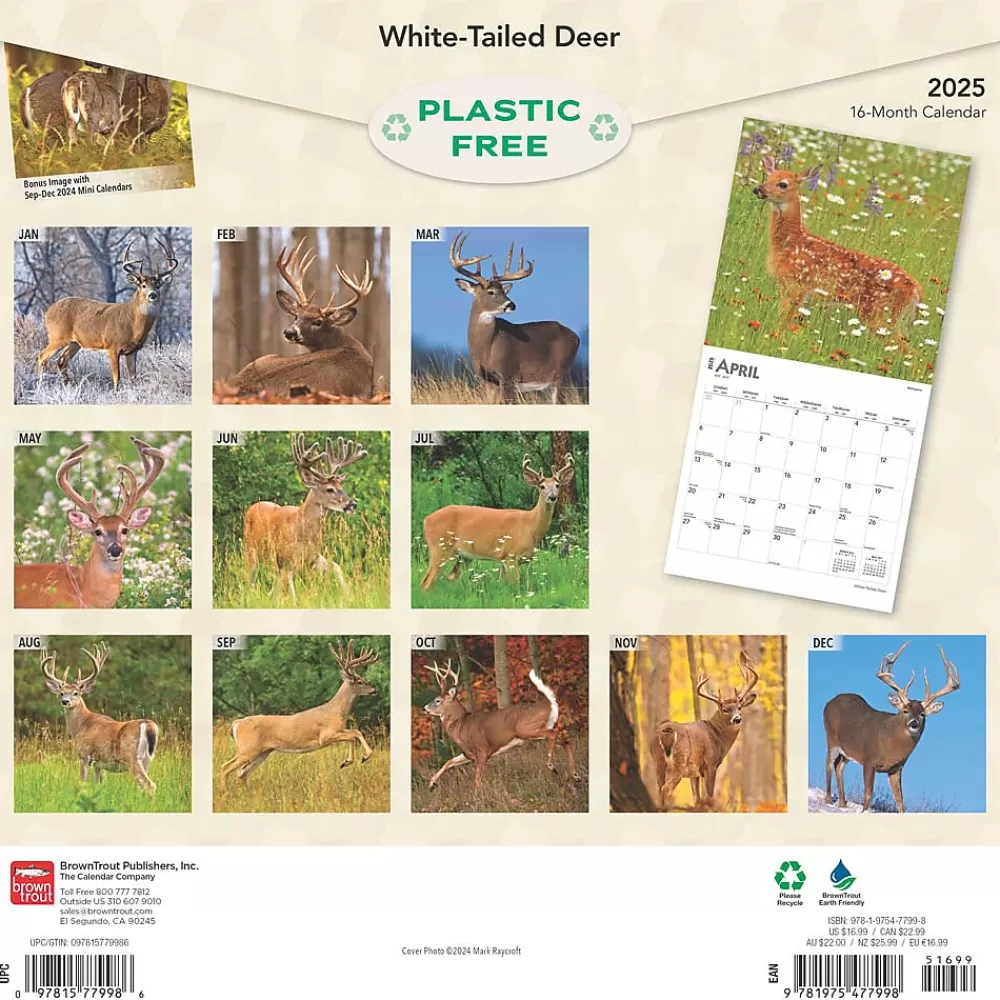 BrownTrout 2025 Calendars<2025 White Tailed Deer 12" x 12" Monthly Wall Calendar (9781975477998)