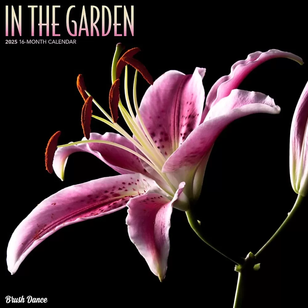 Brush Dance 2025 Calendars<2025 In the Garden 12" x 12" Monthly Wall Calendar (9781975478568)