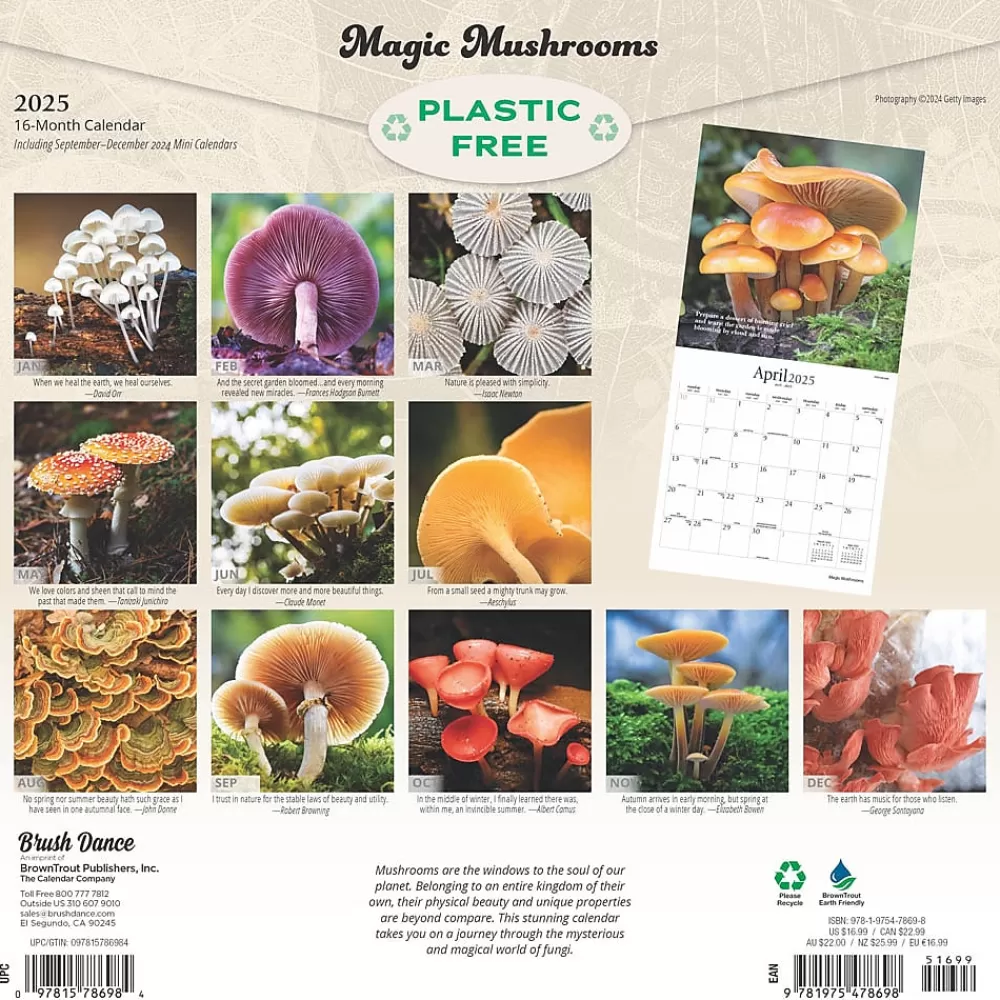 Brush Dance 2025 Calendars<2025 Magic Mushrooms 12" x 12" Monthly Square Wall Calendar (9781975478698)