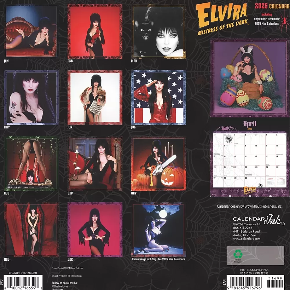 Cal Ink 2025 Calendars<2025 Elvira 12" x 12" Monthly Wall Calendar (9781645916796)