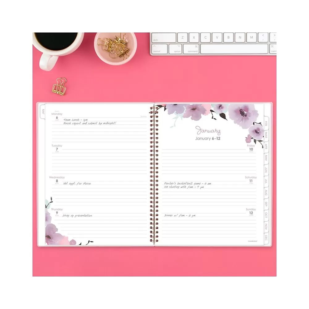 Cambridge 2025 Planners<2025 Mina 8.5" x 11" Weekly & Monthly Planner, Poly Cover, Multicolor (1134-905-25)