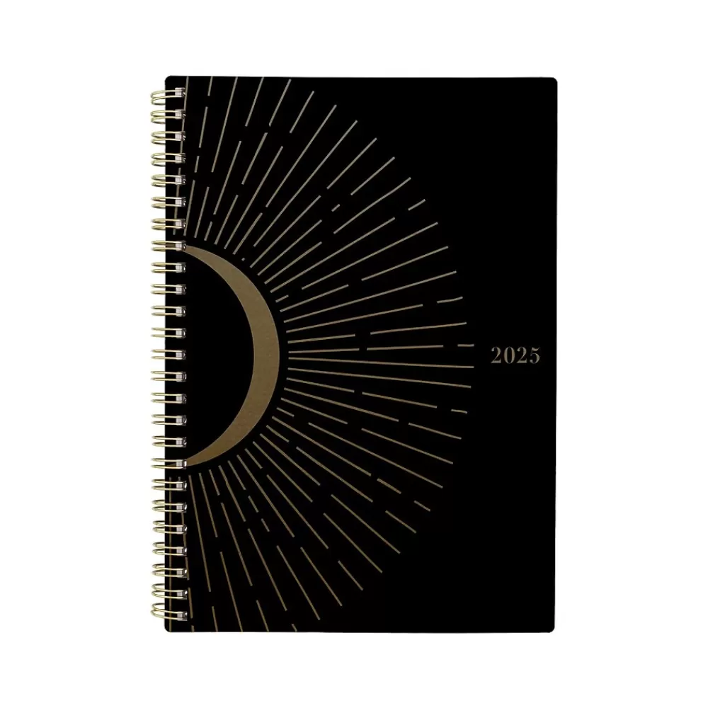 Cambridge 2025 Planners<2025 Radiate 5.5" x 8.5" Weekly & Monthly Planner, Poly Cover, Black/Gold (1725-200-25)