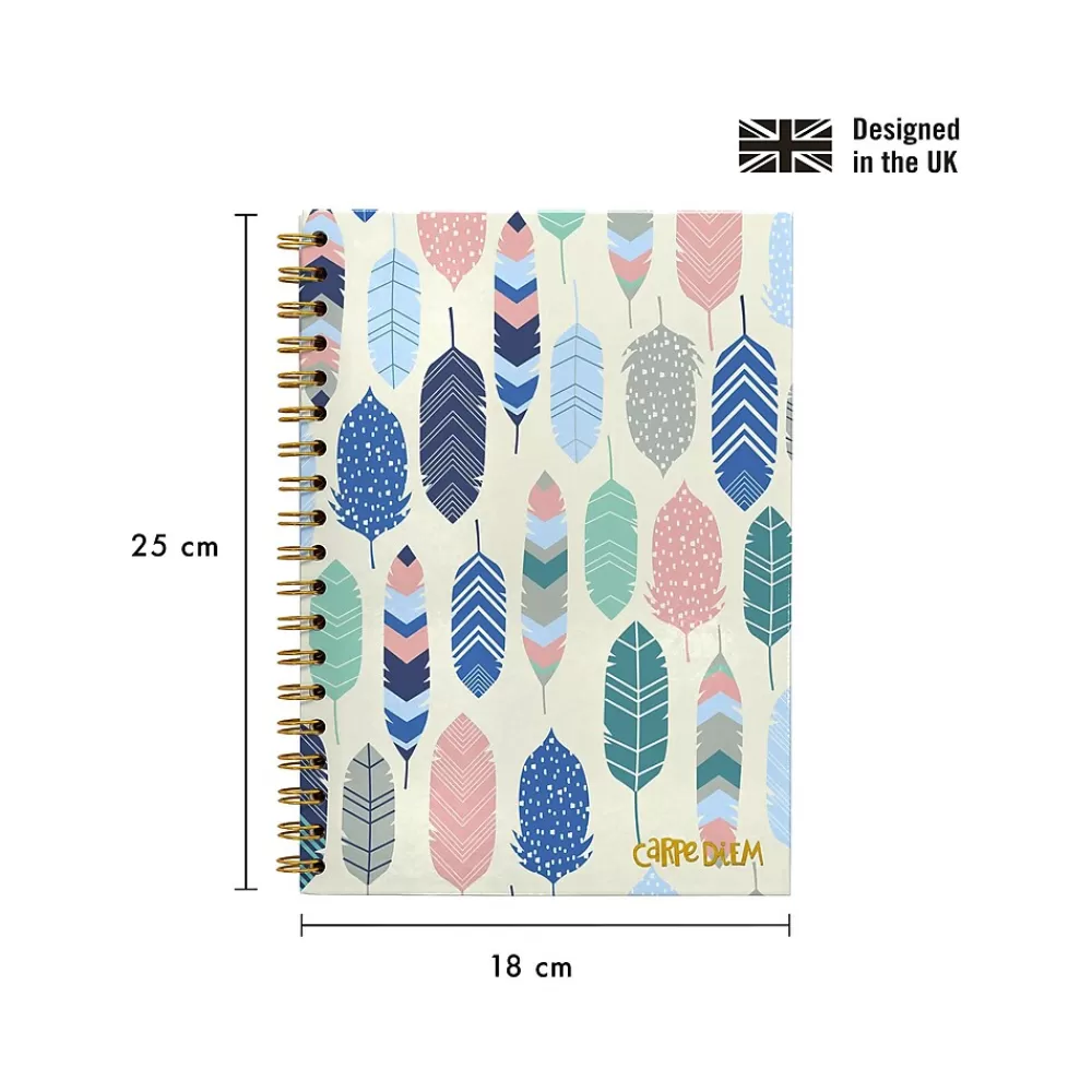 Carpe Diem Subject Notebooks<Feathers 1-Subject Notebook, 7.5" x 9.75", Wide-Ruled, 80 Sheets, Multicolor (9379-CD)