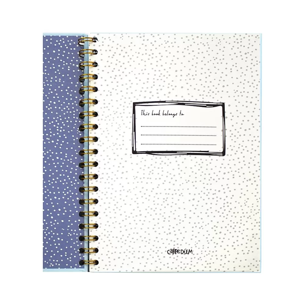 Carpe Diem Subject Notebooks<Feathers 1-Subject Notebook, 7.5" x 9.75", Wide-Ruled, 80 Sheets, Multicolor (9379-CD)