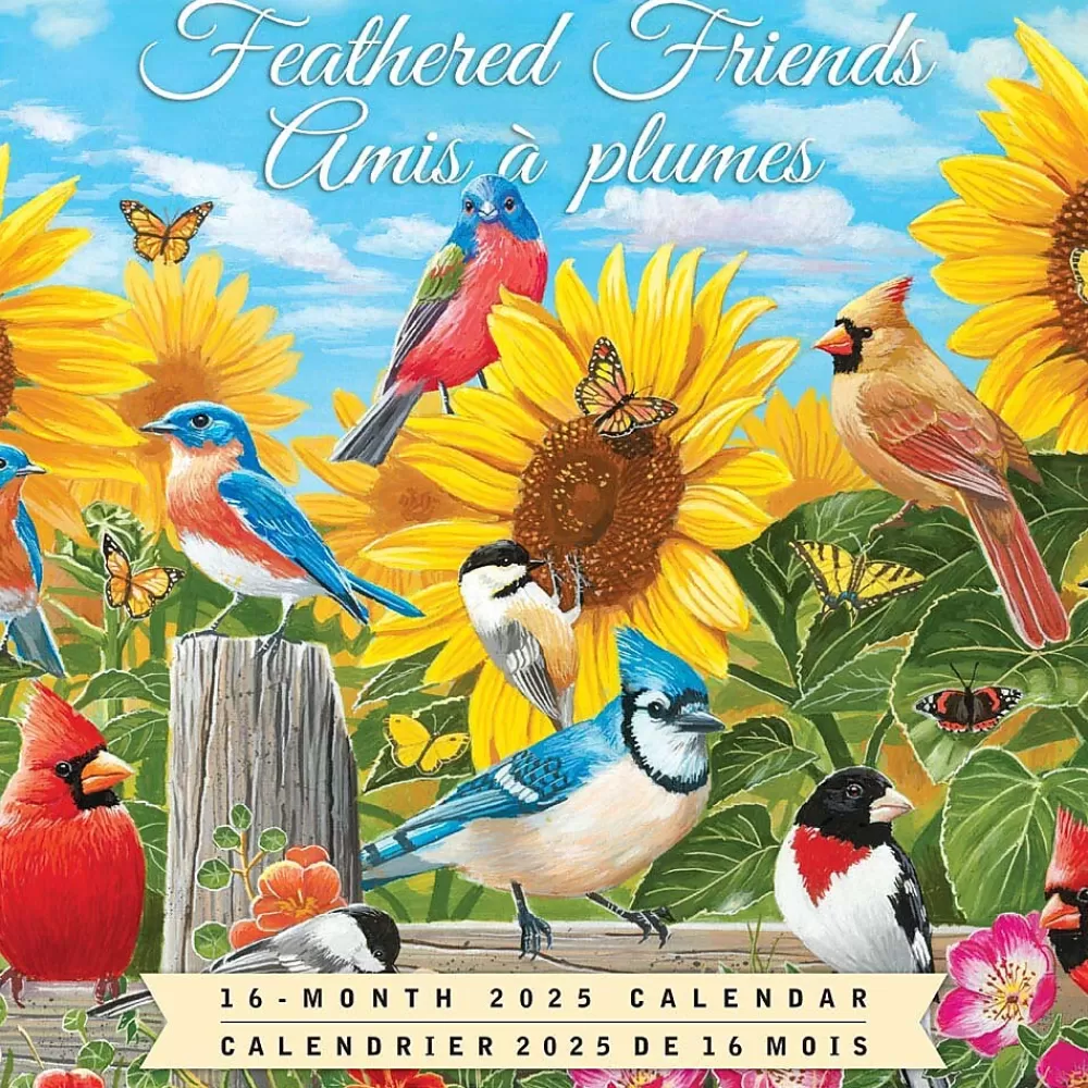 Hopper Studios 2025 Calendars<2025 Feathered Friends Amis a Plumes 12" x 12" Monthly Wall Calendar (9781773728223)