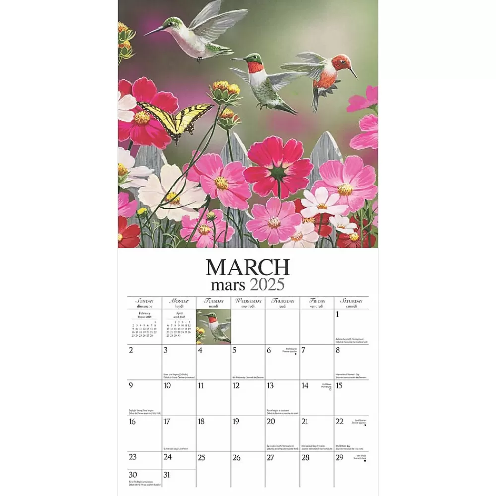 Hopper Studios 2025 Calendars<2025 Feathered Friends Amis a Plumes 12" x 12" Monthly Wall Calendar (9781773728223)