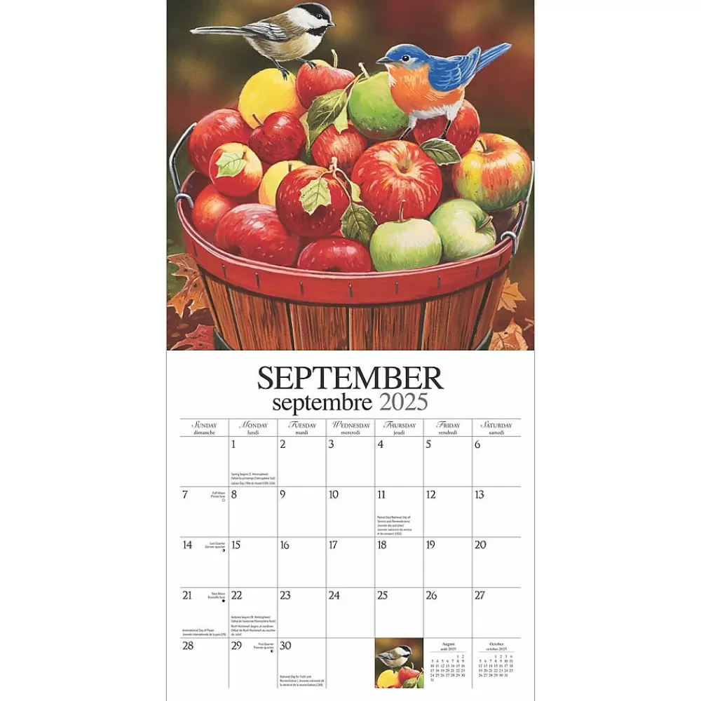 Hopper Studios 2025 Calendars<2025 Feathered Friends Amis a Plumes 12" x 12" Monthly Wall Calendar (9781773728223)