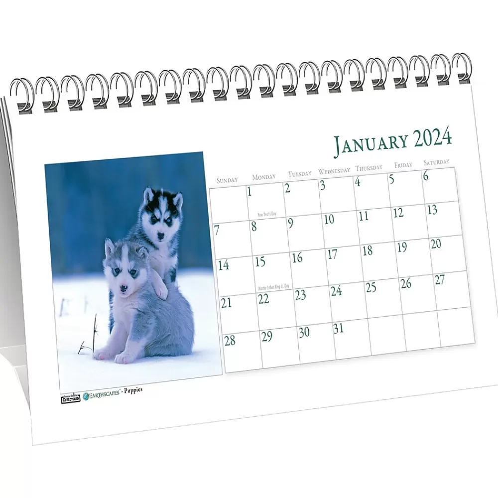 House of Doolittle 2025 Calendars<2025 Earthscapes Puppies 8.5" x 4.25" Monthly Desk Calendar (3659-25)