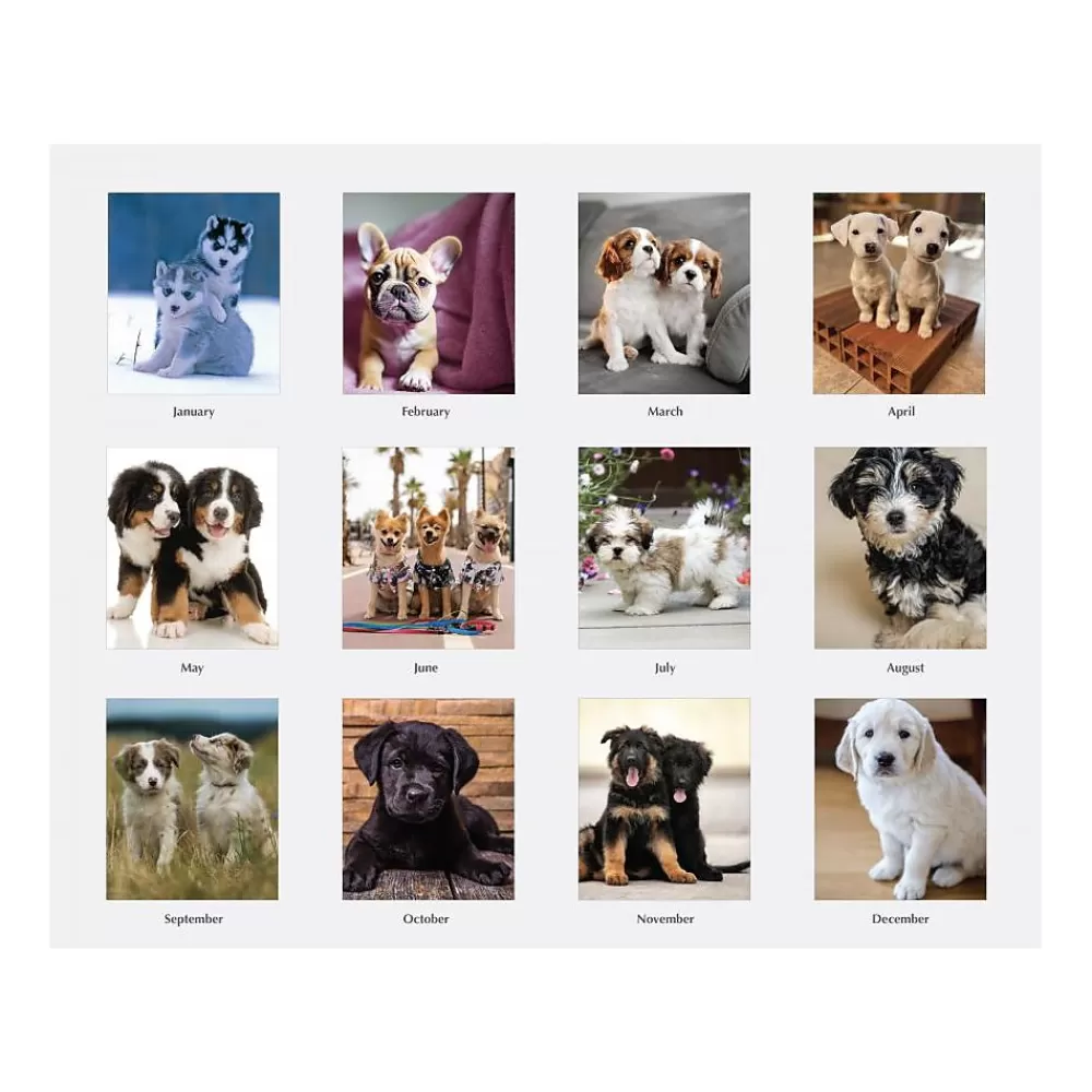 House of Doolittle 2025 Calendars<2025 Earthscapes Puppies 8.5" x 4.25" Monthly Desk Calendar (3659-25)