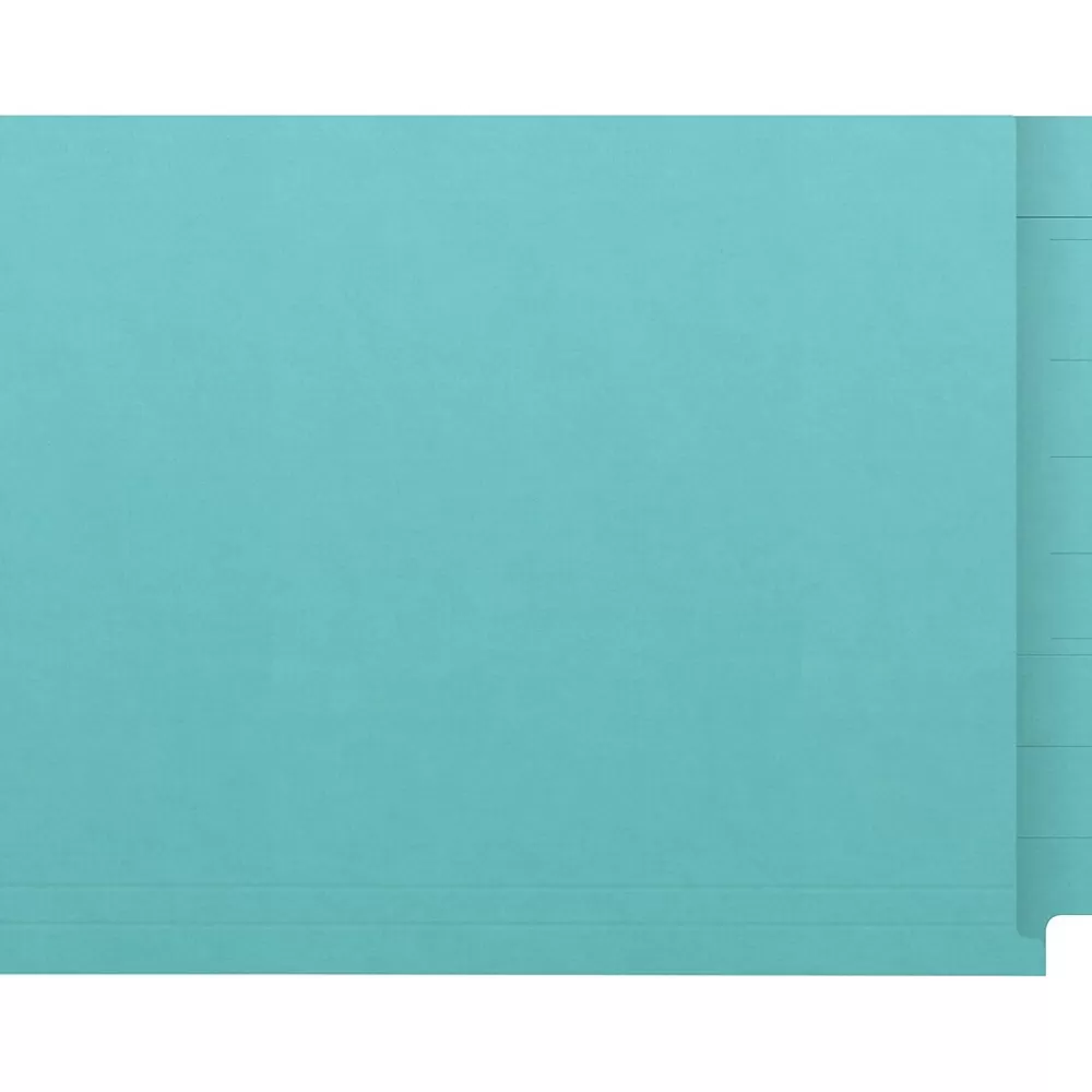 Medical Arts Press File Folders<Kardex Match Reinforced End Tab File Folder, Straight Cut, Letter Size, Light Blue, 100/Box (S-09482-LBL)