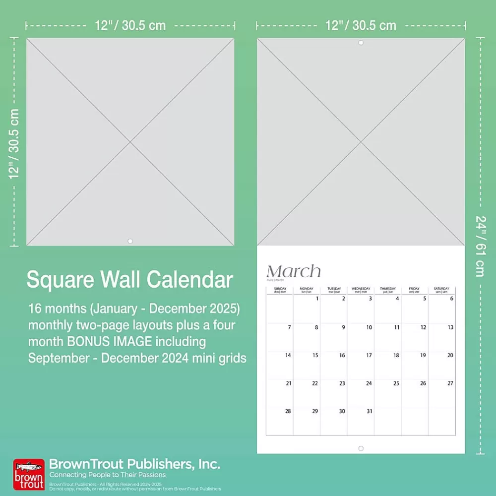 BrownTrout 2025 Calendars<2025 Motor Club Dream Cars 12" x 24" Monthly Square Wall Calendar, (9781975479619)