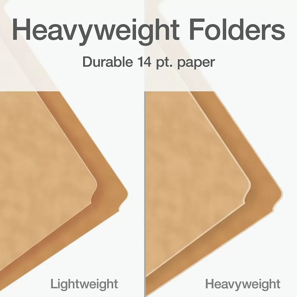 Pendaflex File Folders<Heavy Duty File Folder, 1/3-Cut Tab, Letter Size, 50/Box (1007030)
