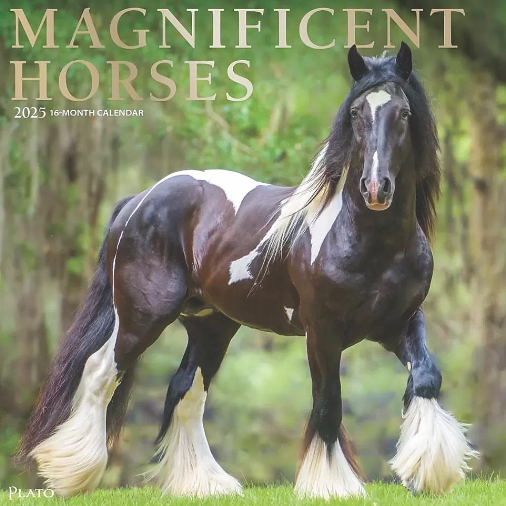 Plato 2025 Calendars<2025 Magnificent Horses 12" x 12" Monthly Square Wall Calendar (9781975478995)