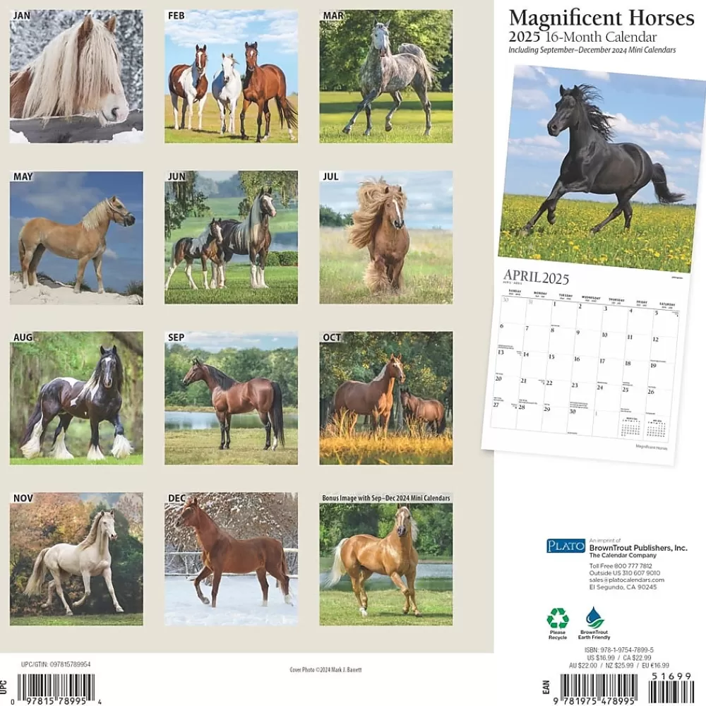 Plato 2025 Calendars<2025 Magnificent Horses 12" x 12" Monthly Square Wall Calendar (9781975478995)