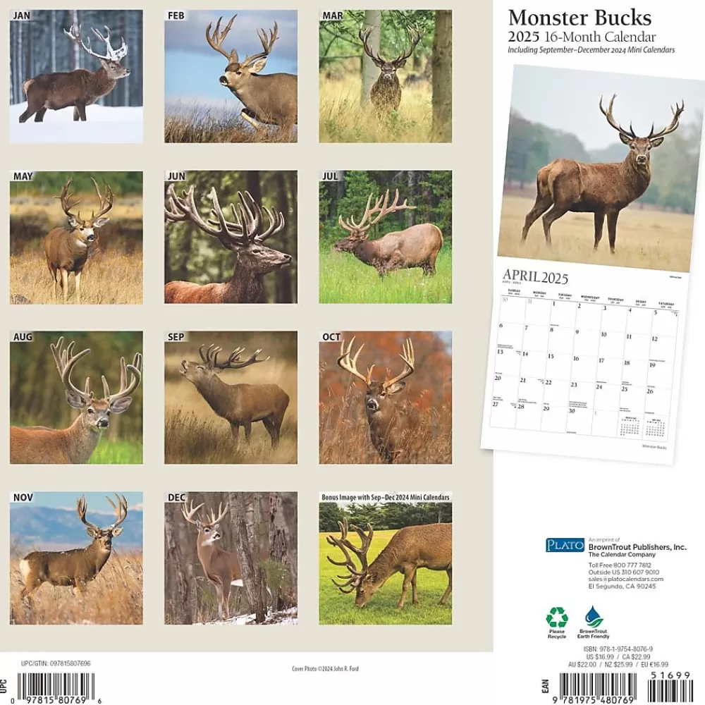 BrownTrout 2025 Calendars<2025 Plato Monster Bucks 12" x 24" Monthly Square Wall Calendar, (9781975480769)