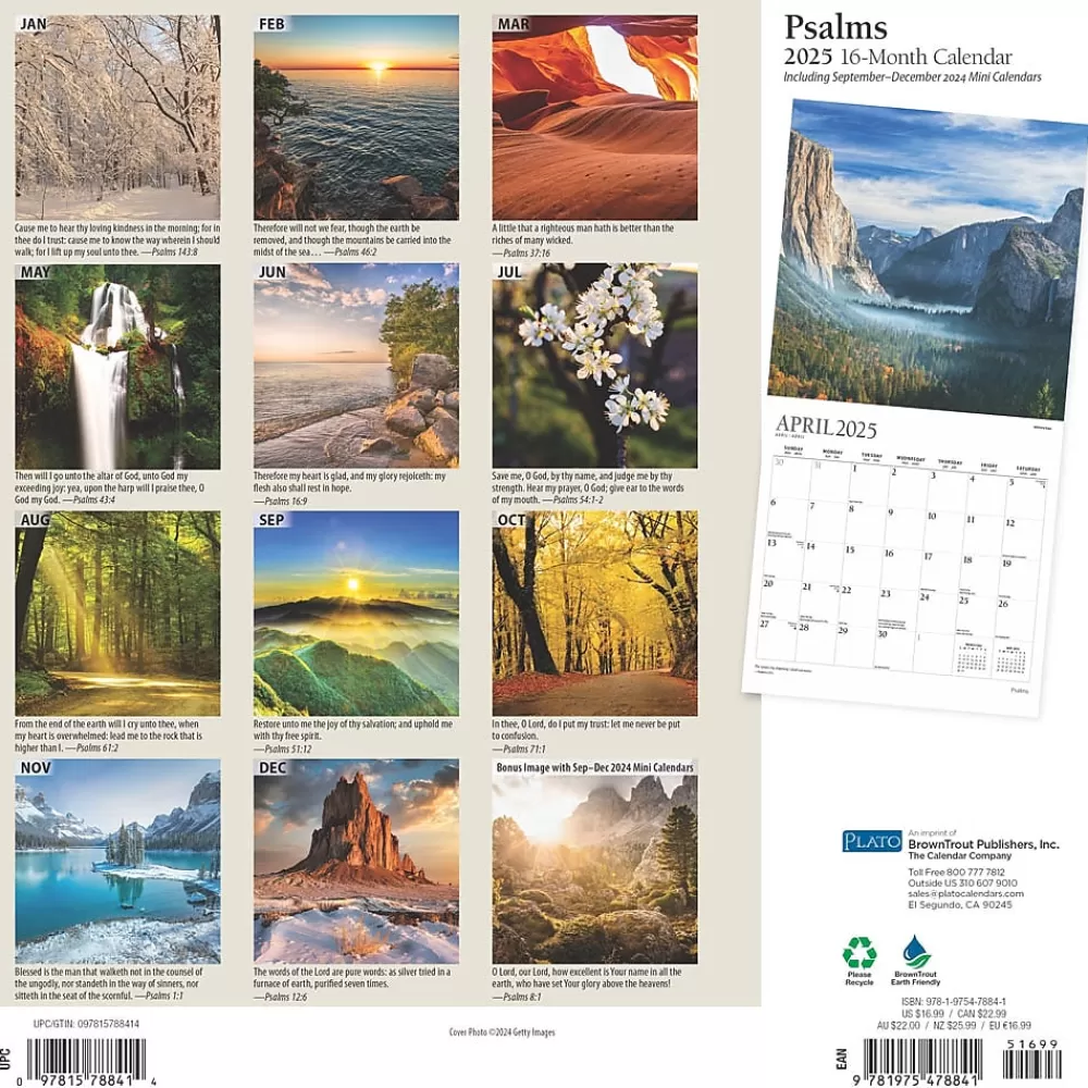 Plato 2025 Calendars<2025 Psalms 12" x 24" Monthly Square Wall Calendar (9781975478841)