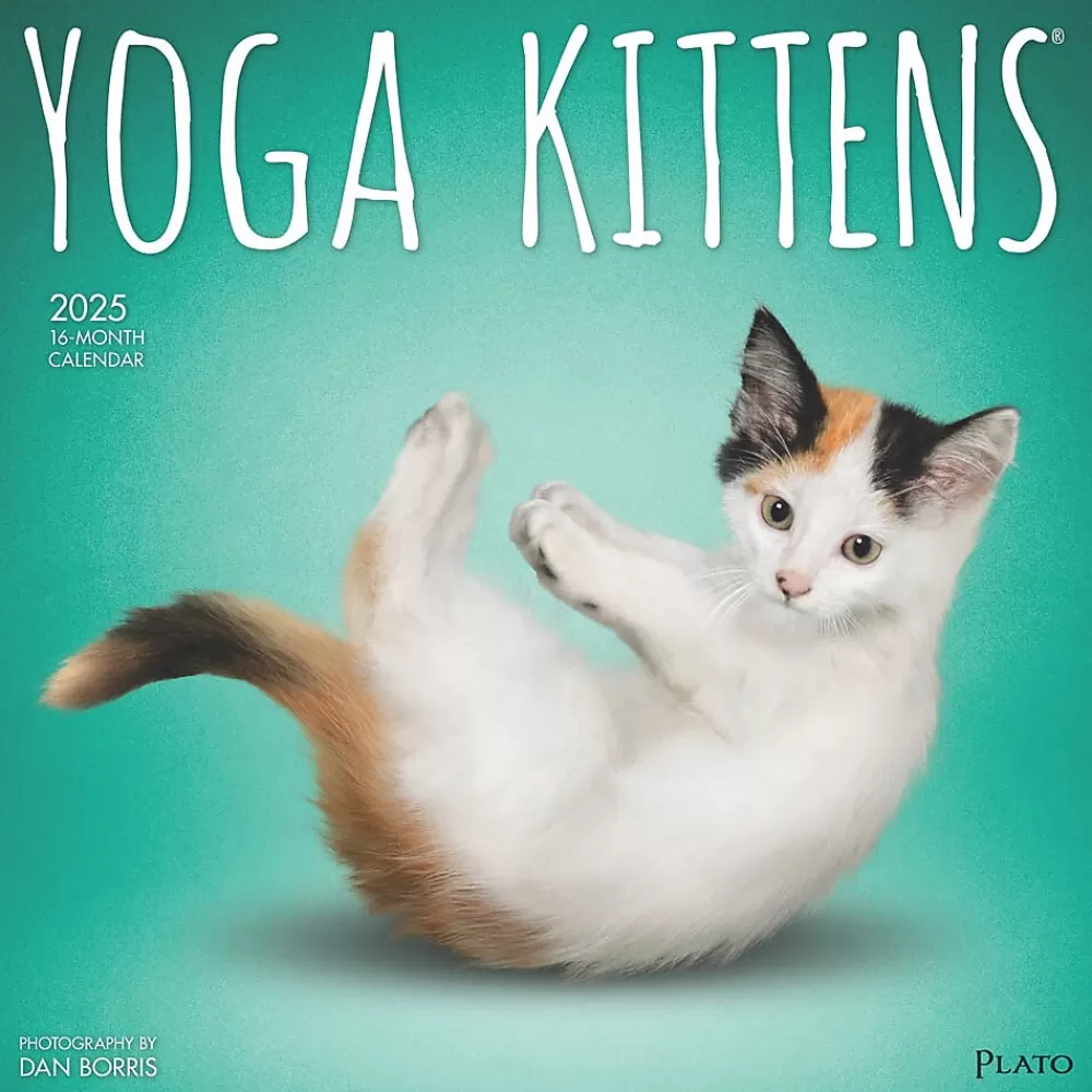 Plato 2025 Calendars<2025 Yoga Kittens 12" x 12" Monthly Wall Calendar (9781975480134)