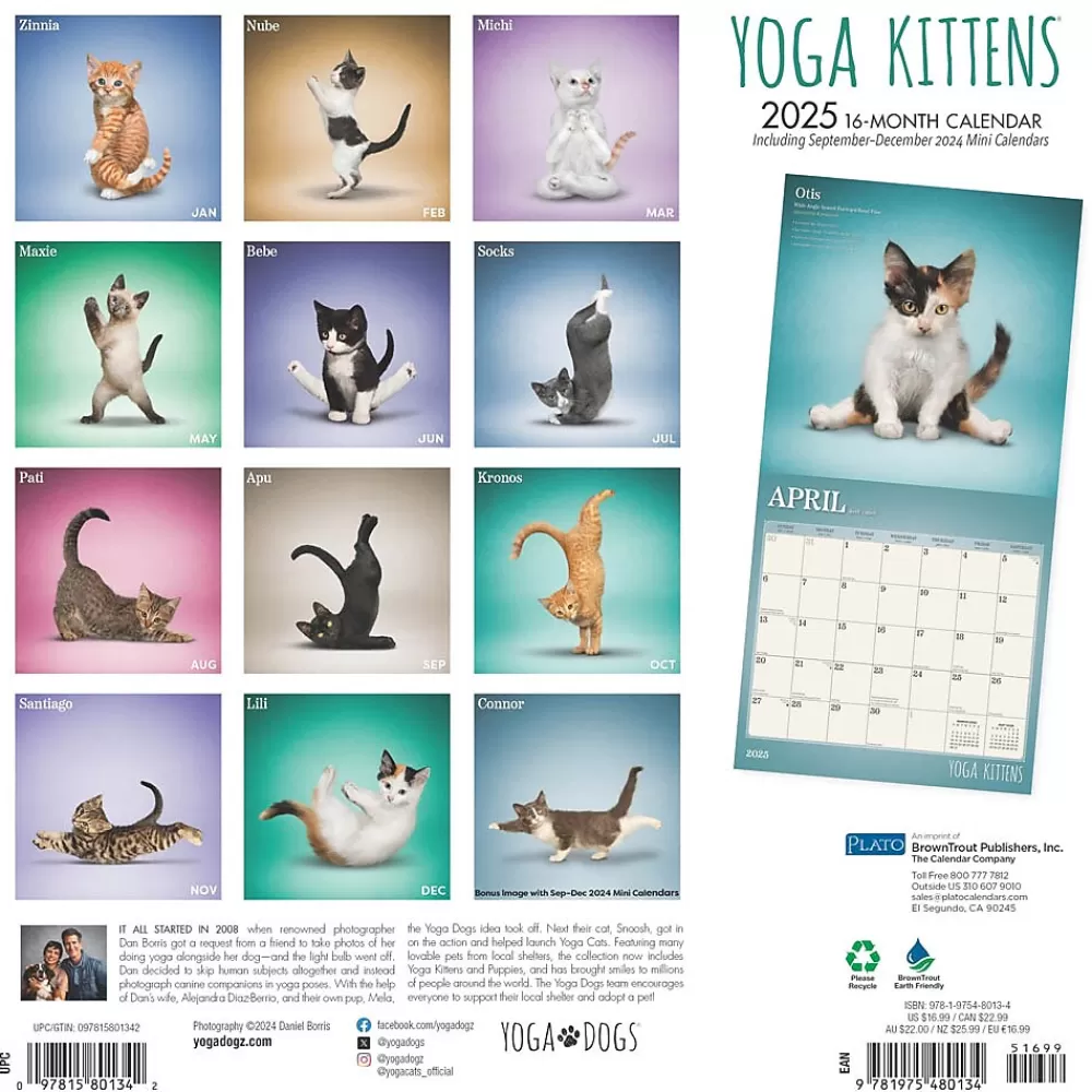 Plato 2025 Calendars<2025 Yoga Kittens 12" x 12" Monthly Wall Calendar (9781975480134)