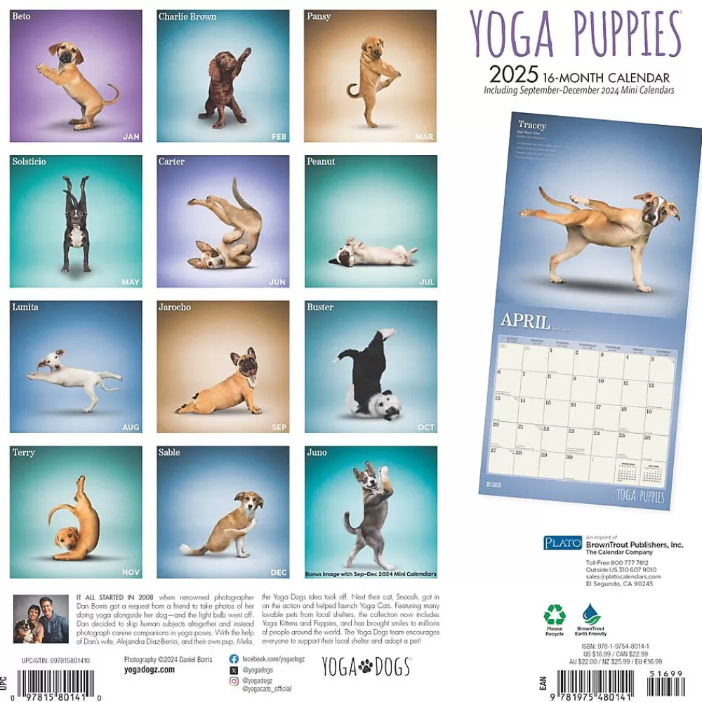 Plato 2025 Calendars<2025 Yoga Puppies 12" x 12" Monthly Wall Calendar (9781975480141)