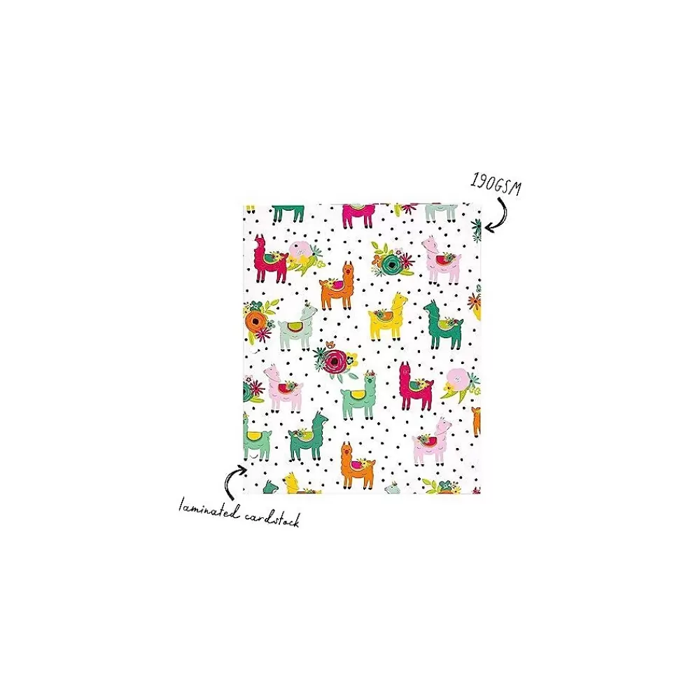 Pukka Pad Pocket Folders<Carpe Diem Rainbow Color Wash 3-Hole Punched 2-Pocket Portfolio Folders, Assorted Colors, 6/Pack (9097-CD)