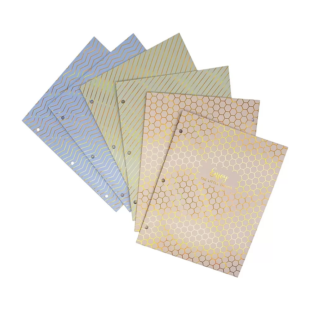 Pukka Pad Pocket Folders<Haze 3-Hole Punched 2-Pocket Cardstock Portfolio Folders, Assorted Colors, 6/Pack (9980(AST)-HZE)