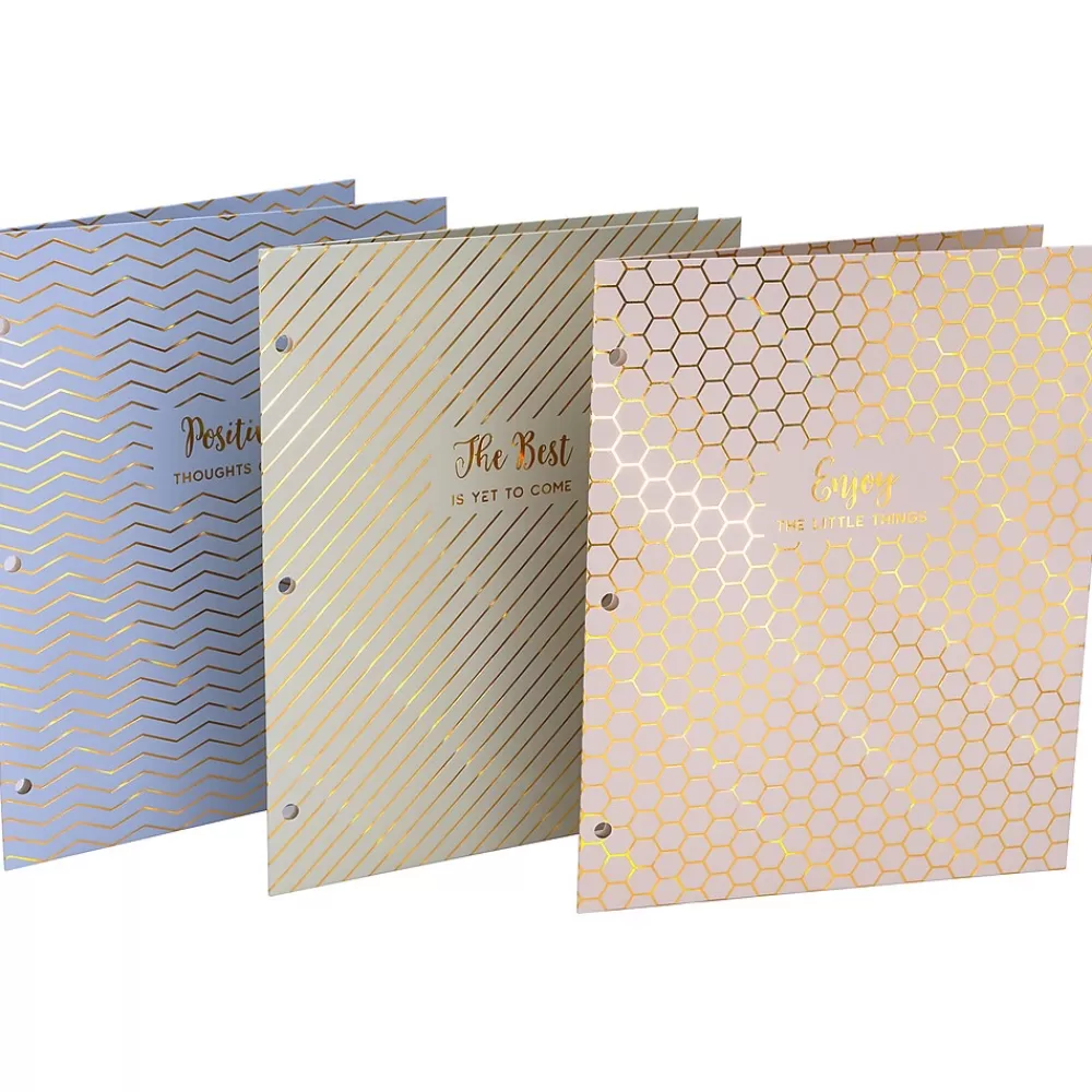 Pukka Pad Pocket Folders<Haze 3-Hole Punched 2-Pocket Cardstock Portfolio Folders, Assorted Colors, 6/Pack (9980(AST)-HZE)
