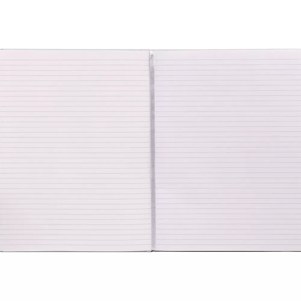 Pukka Pad Notebooks<Professional Notebooks, 8.5" x 11", College Ruled, 96 Sheets, Beige (9943-SIG)