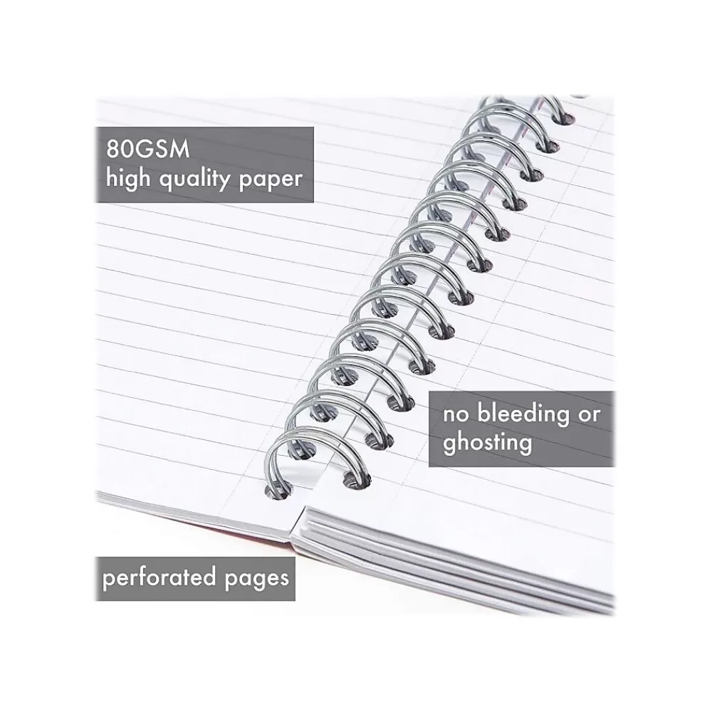Pukka Pad Subject Notebooks<Rochelle & Jess 5-Subject Subject Notebooks, 6.9" x 9.8", College Ruled, 100 Sheets, Assorted Colors, 3/Pk (9447-ROC)