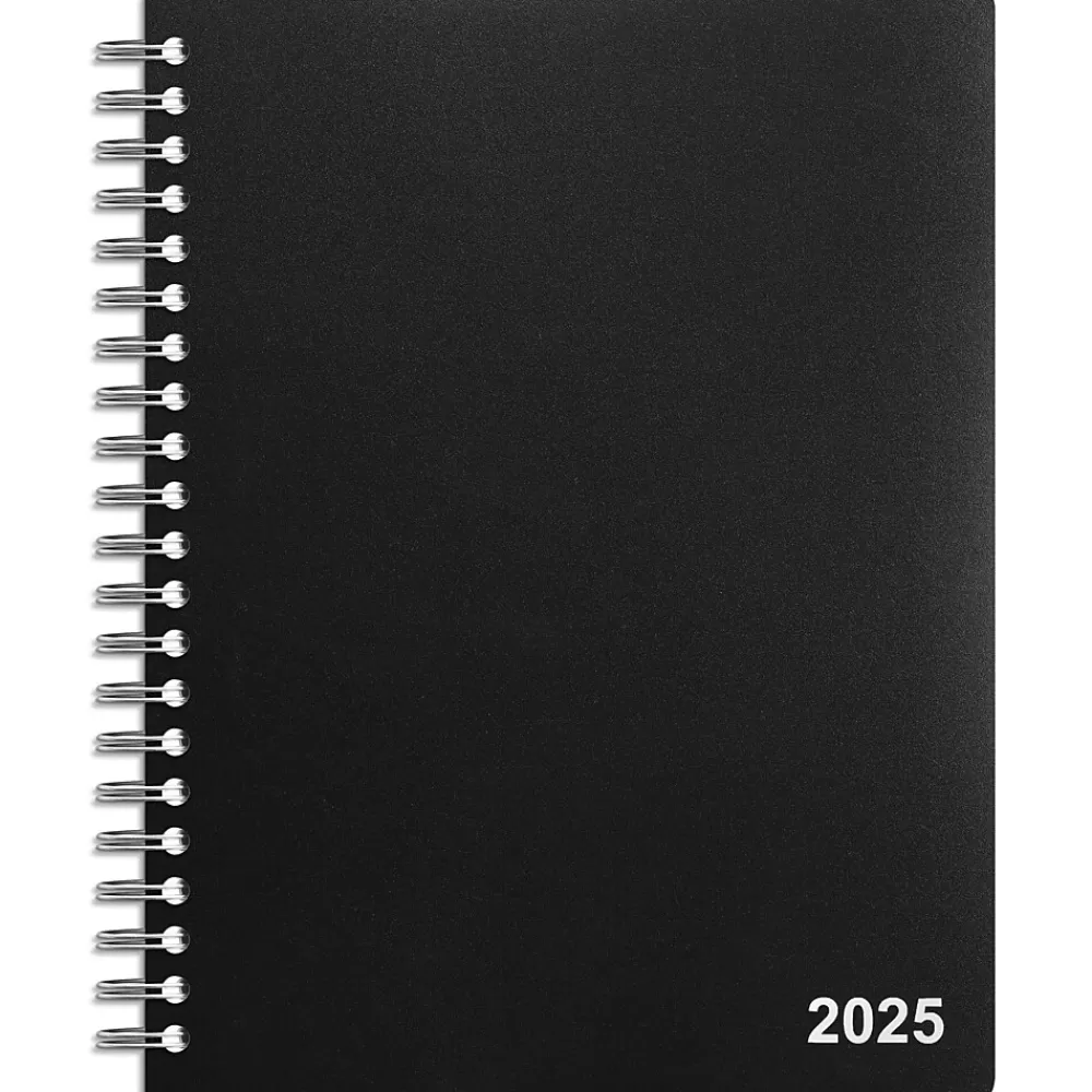 Staples 2025 Planners<2025 8" x 11" Daily Appointment Book, Black (ST21487-25)