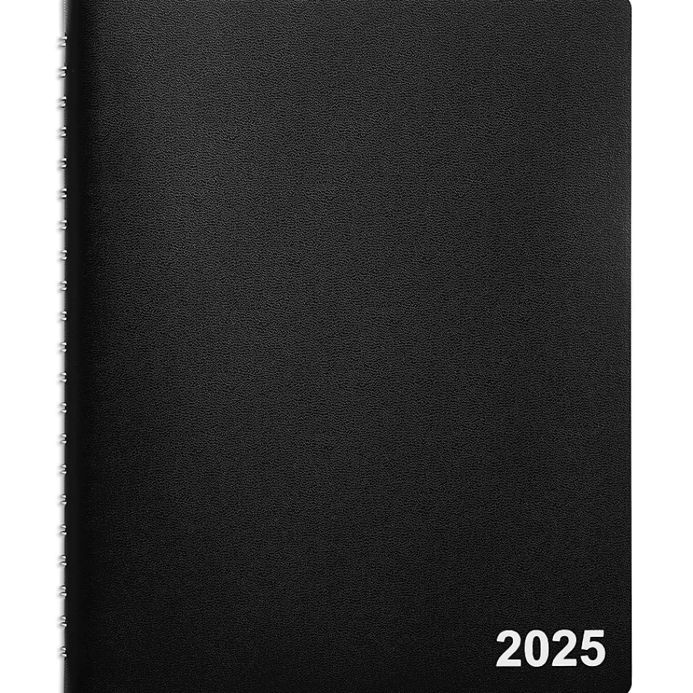 Staples 2025 Planners<2025 8" x 11" Daily Appointment Book, Black (ST58453-25)