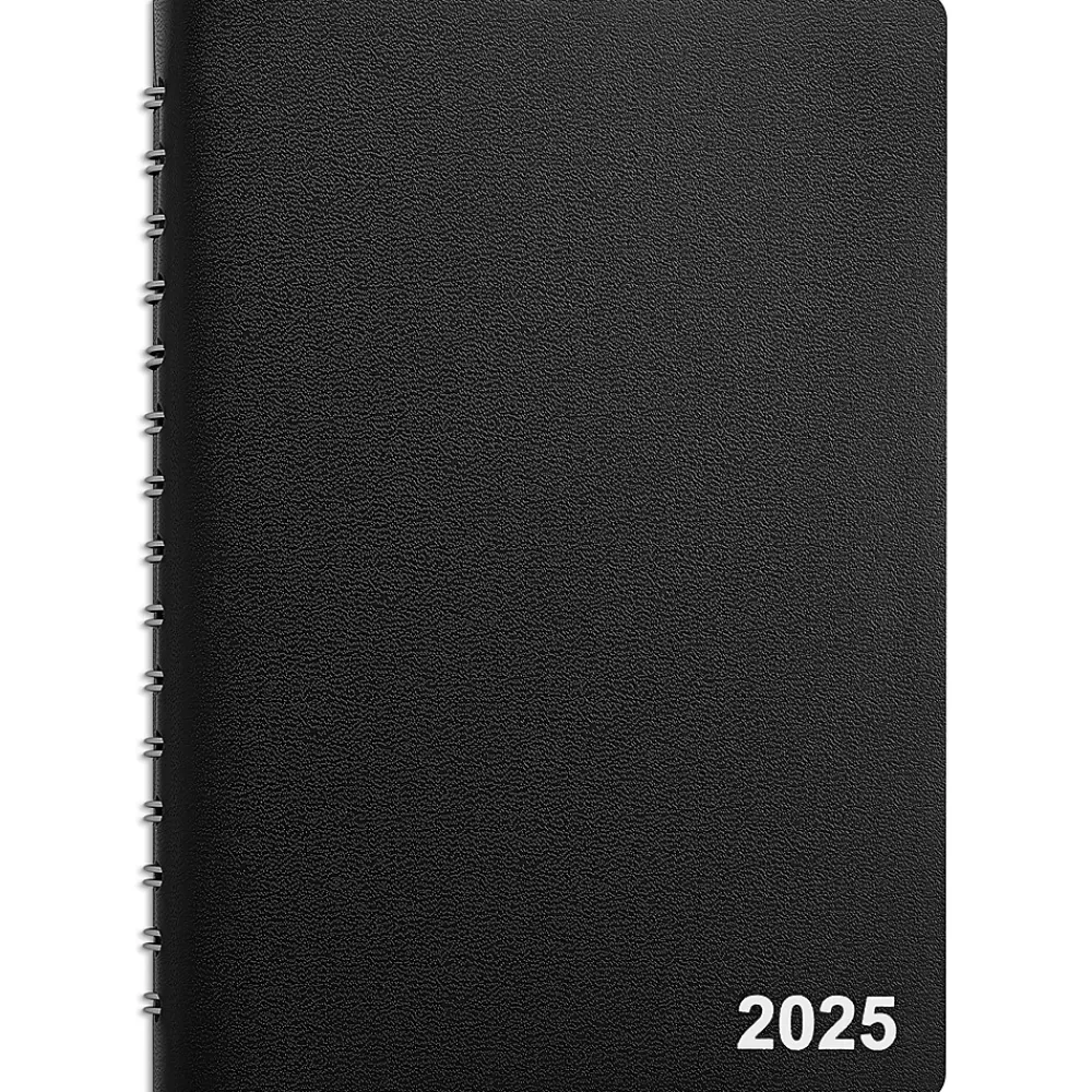 Staples 2025 Planners<2025 5" x 8" Daily Appointment Book, Black (ST58452-25)