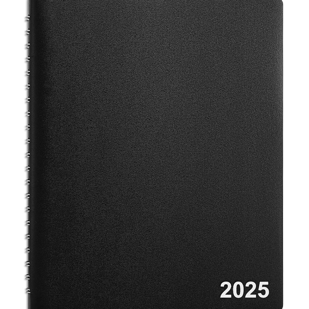 Staples 2025 Planners<2025 8" x 11" Four-Person Daily Appointment Book, Black (ST58479-25)