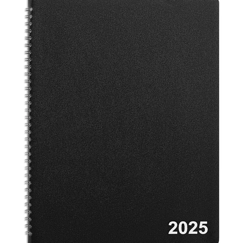 Staples 2025 Planners<2025 8" x 11" Monthly Planner, (TR52184-25)