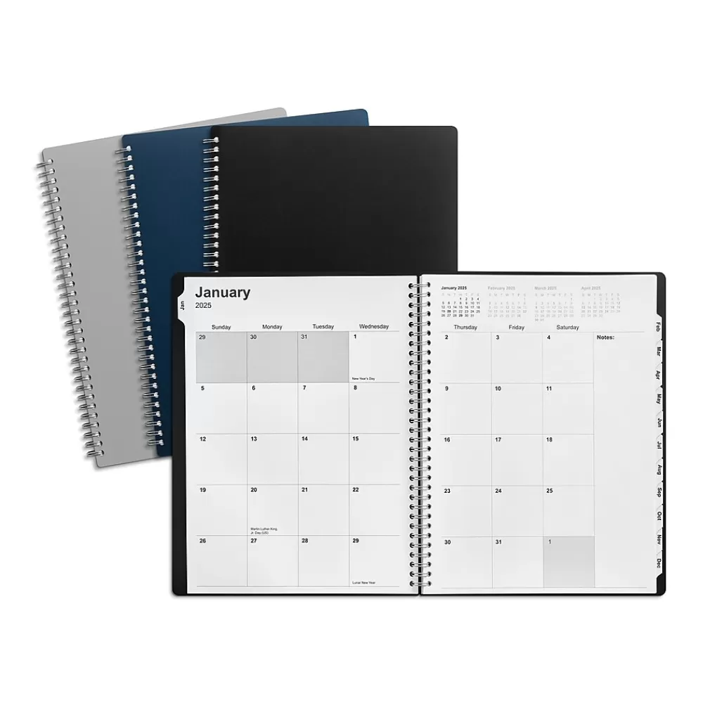 Staples 2025 Planners<2025 8" x 11" Weekly & Monthly Appointment Book, Assorted Colors (ST12940-25)