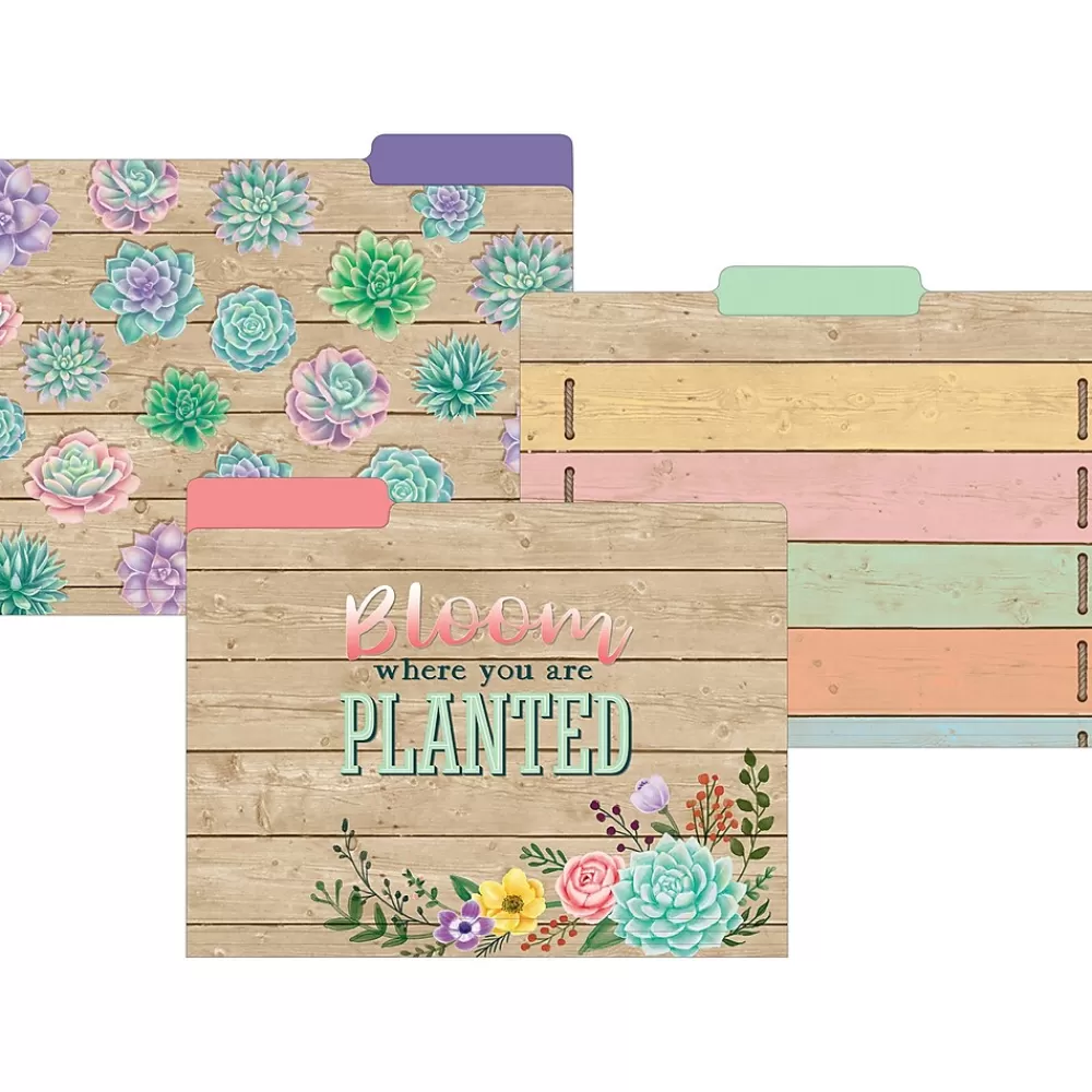 Teacher Created Resources File Folders<Rustic Bloom File Folder, 1/3-Cut Tab, Letter Size, Assorted, 24/Pack (TCR8539-2)