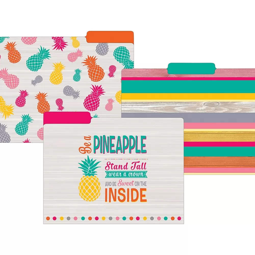 Teacher Created Resources File Folders<Tropical Punch File Folders, 3-Tab, 11.75" x 9.5", Assorted Colors, 24/PK (TCR8538)